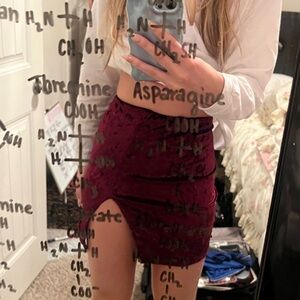 Red Velvet Skirt Size XS